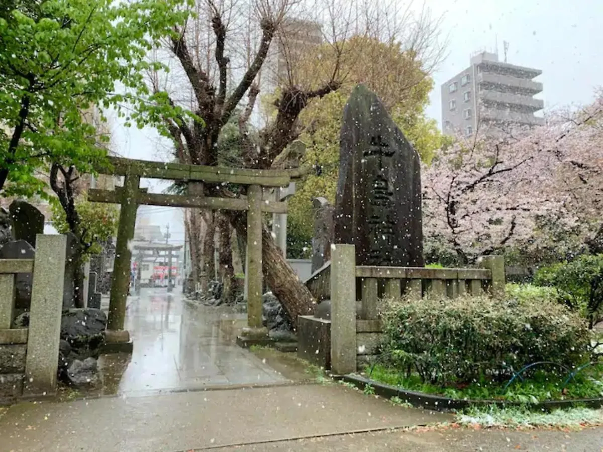 Daire Kiko House - Vacation Stay 42467V Tokyo Japonya