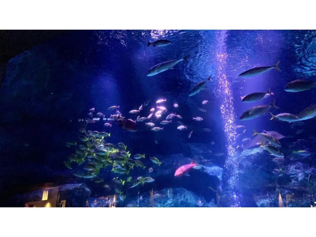 Kiko House - Vacation Stay 42467V Tokyo Japan